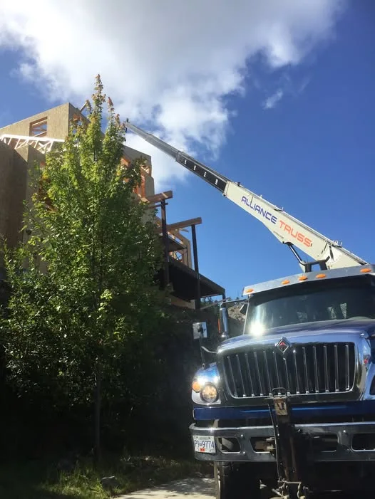 Alliance crane truck with an extended boom lift reaches toward a building with green ivy during daytime.